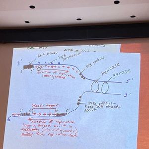 Meet your Posher, Faizan